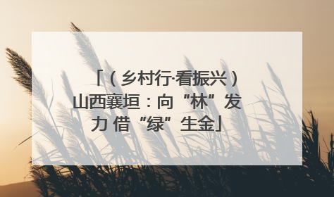 （乡村行·看振兴）山西襄垣：向“林”发力 借“绿”生金