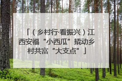 （乡村行·看振兴）江西安福“小西瓜”撬动乡村共富“大支点”