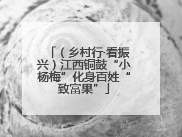（乡村行·看振兴）江西铜鼓“小杨梅”化身百姓“致富果”