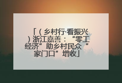 （乡村行·看振兴）浙江嘉善：“零工经济”助乡村民众“家门口”增收