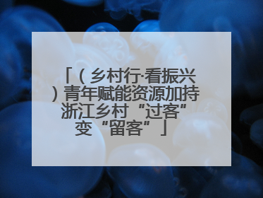 （乡村行·看振兴）青年赋能资源加持 浙江乡村“过客”变“留客”