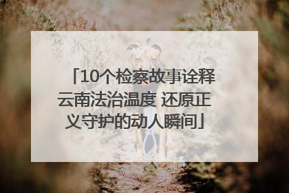 10个检察故事诠释云南法治温度 还原正义守护的动人瞬间