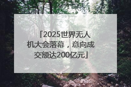 2025世界无人机大会落幕，意向成交额达200亿元