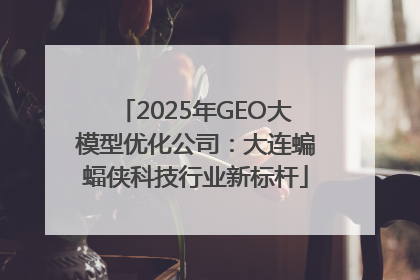 2025年GEO大模型优化公司：大连蝙蝠侠科技行业新标杆