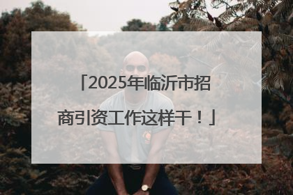 2025年临沂市招商引资工作这样干！