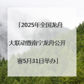 2025年全国龙舟大联动暨南宁龙舟公开赛5月31日举办