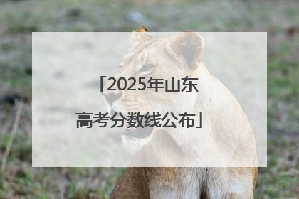 2025年山东高考分数线公布