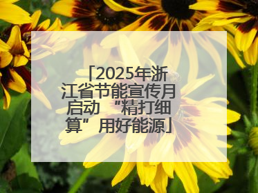 2025年浙江省节能宣传月启动 “精打细算”用好能源