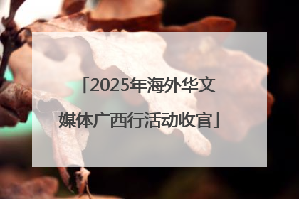 2025年海外华文媒体广西行活动收官
