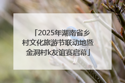 2025年湖南省乡村文化旅游节联动地暨金洞村k友谊赛启幕