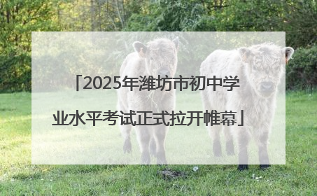 2025年潍坊市初中学业水平考试正式拉开帷幕