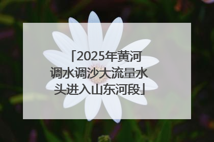 2025年黄河调水调沙大流量水头进入山东河段