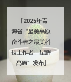 2025年青海省“最美高原奋斗者之最美科技工作者—星耀高原”发布