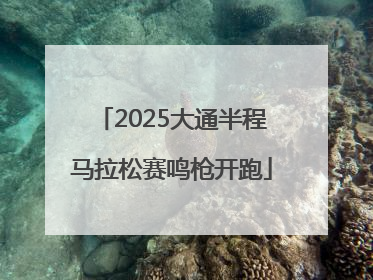 2025大通半程马拉松赛鸣枪开跑