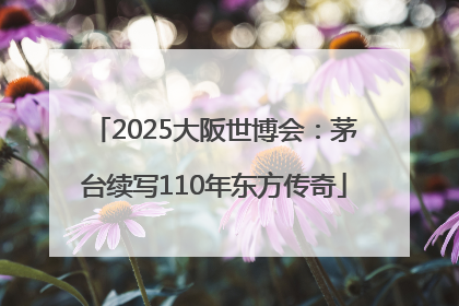 2025大阪世博会：茅台续写110年东方传奇