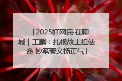 2025好网民·在聊城｜王鹏：扎根故土担使命 妙笔著文扬正气