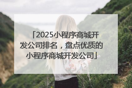 2025小程序商城开发公司排名，盘点优质的小程序商城开发公司