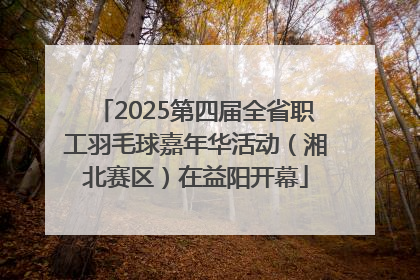 2025第四届全省职工羽毛球嘉年华活动（湘北赛区）在益阳开幕