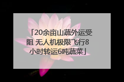 20余亩山蔬外运受阻 无人机极限飞行8小时转运6吨蔬菜