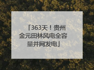 363天！贵州金元田林风电全容量并网发电