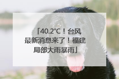 40.2℃！台风最新消息来了！福建局部大雨暴雨