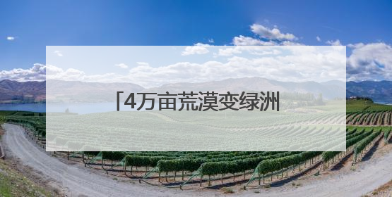 4万亩荒漠变绿洲，“戈壁奇迹”背后的“潍坊密码”