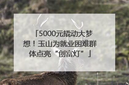 5000元撬动大梦想！玉山为就业困难群体点亮“创富灯”