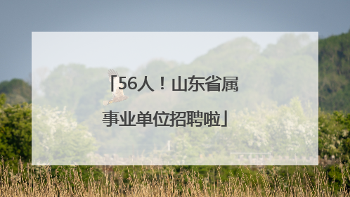 56人！山东省属事业单位招聘啦