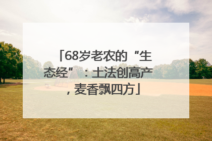 68岁老农的“生态经”：土法创高产，麦香飘四方