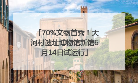 70%文物首秀！大河村遗址博物馆新馆6月14日试运行