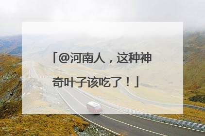 @河南人，这种神奇叶子该吃了！
