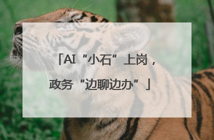 AI“小石”上岗，政务“边聊边办”
