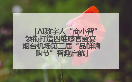 AI数字人“商小智”领衔打造四维感官盛宴 烟台机场第三届“品鲜嗨购节”智趣启航