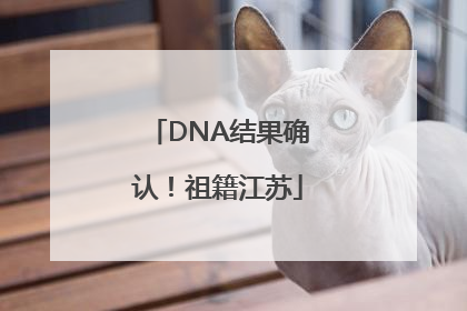 DNA结果确认！祖籍江苏