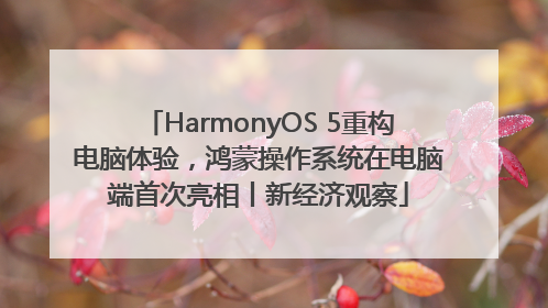 HarmonyOS 5重构电脑体验，鸿蒙操作系统在电脑端首次亮相丨新经济观察